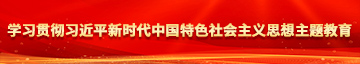 操骚逼视频骚穴学习贯彻习近平新时代中国特色社会主义思想主题教育